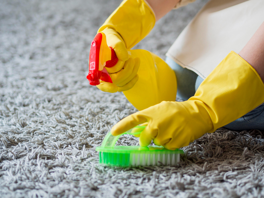 Urgent In Cleaning